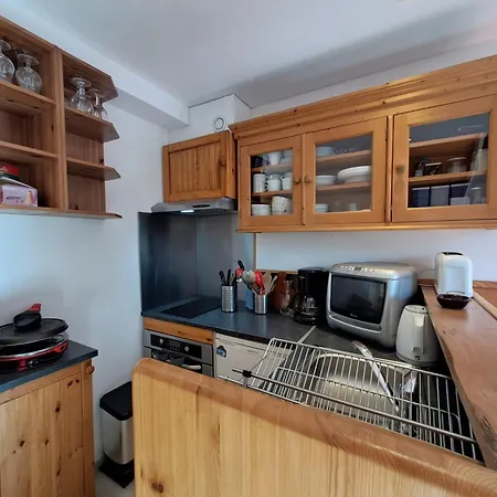 T3 En Duplex Proche Des Pistes, 6 Pers. Apartment Les Deux Alpes
